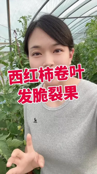 #��������Ҷ#������ݪֲ#����������#¶�������� С�Ƴ��µ�@����С����