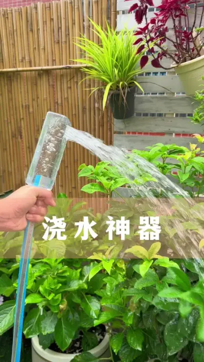 ȪˮƿӼӹǽˮ#ֲ #С֪ʶ #İ #