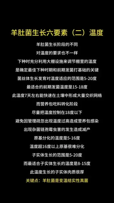 Ǿݪֲ¶ȵݪֲԶᱻ̭֣ # # #Ǿ #Ǿݪֲ #Ǿݪֲ