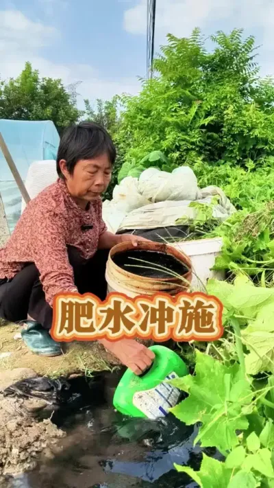 ˮʩ#ũ #ˮ #߲ #ݪֲС #ʩ  @DOU+С @DOU+ @С