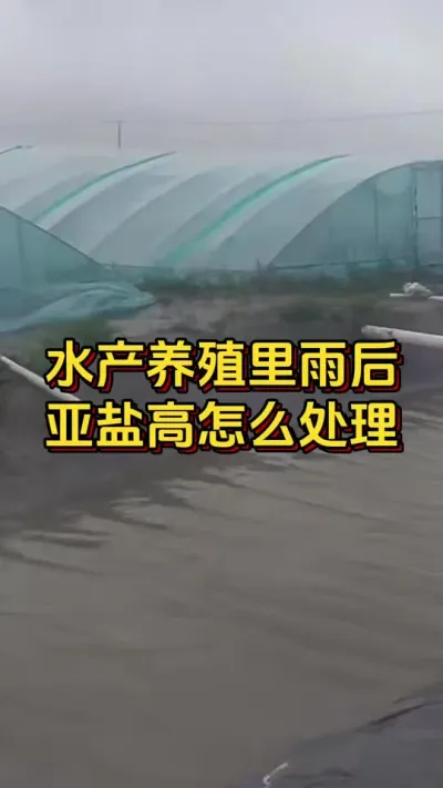 ##οˮ#ĶϺ#׶Ϻֳ#ˮֳ