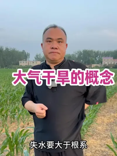 ɺĿ ̫ɺɺҲֳɺ֢״#ũҵݪֲ