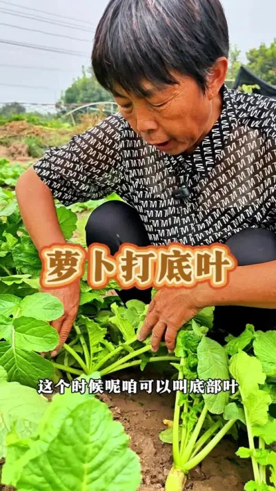 ܲҶ͸òɹ#ũ #ܲ #߲ #߲ݪֲ #ݪֲС @DOU+С @С @DOU+