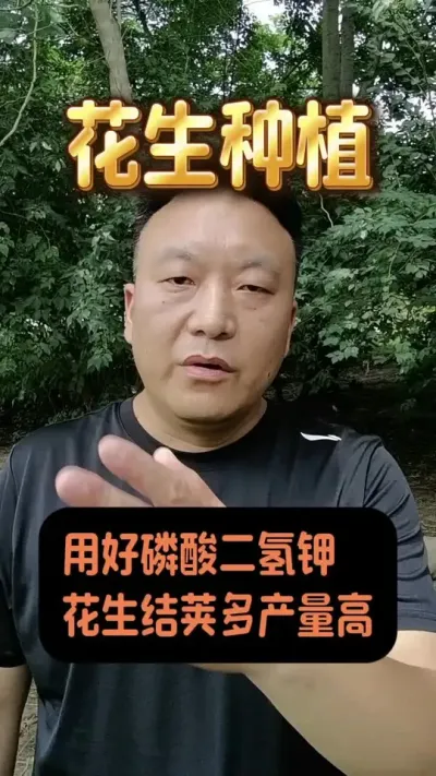 �ú�����������������������#�����߲�С���� #����ݪֲ��������