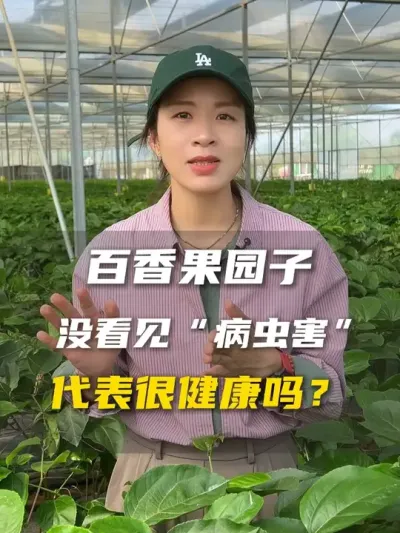 ÿ԰Ӷ“”“”ȷ˲ż # #ݪֲ # #ũ #ũ