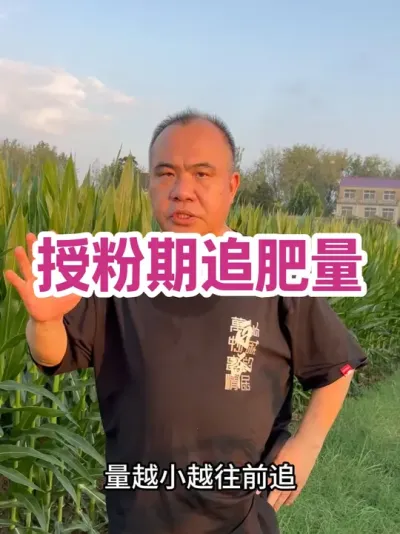 ڷ׷ ׷ص㣺˺ǰԽǰ׷ԴԽ׷ʵ٣10 Ҷǰ׷ߵϷʺ11 Ҷؼɣ#ũҵݪֲ