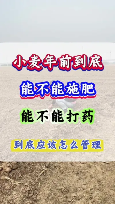 С СݪֲǰܲʩҩôŻ#С#Сݪֲ#С#С߲#Сʩ