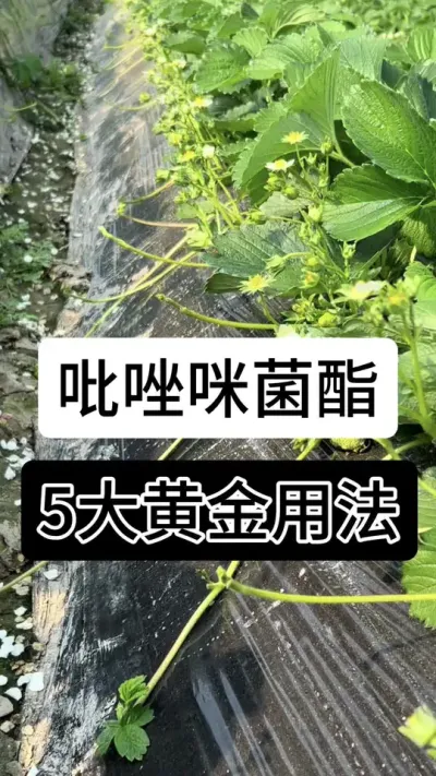 9888��˹ά��˹(�ɷ�)���޹�˾-�ٷ���վ