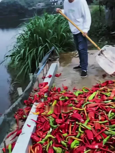 ι¶ѧ #һ #ũֳ # #ֳ #Ż