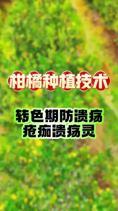 תɫѡҩҪ#ݪֲ #԰ # #ٹ