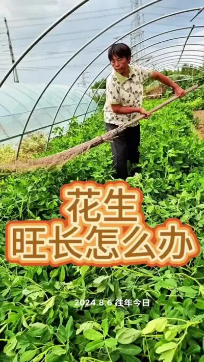 # #ũ #߲ #߲ݪֲ #ݪֲС@DOU+ @DOU+С @С