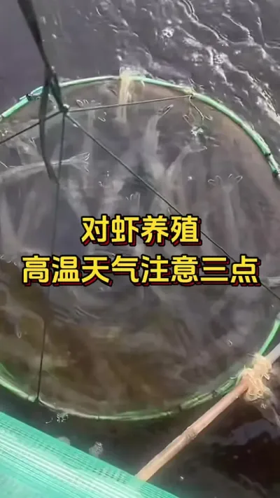 #ĶϺ#ο#οˮ#׶Ϻֳ