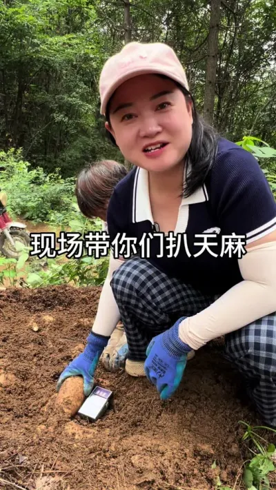 ֳǰ #ũݪֲ #ũ #ҩݪֲ