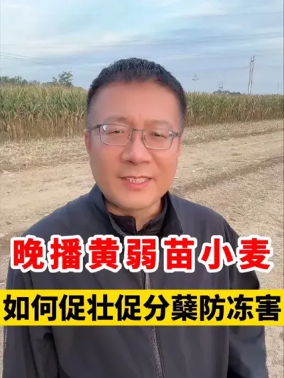 Сٸ׳ٷ #Сݪֲ #С߲ #С #Сݪֲ #С