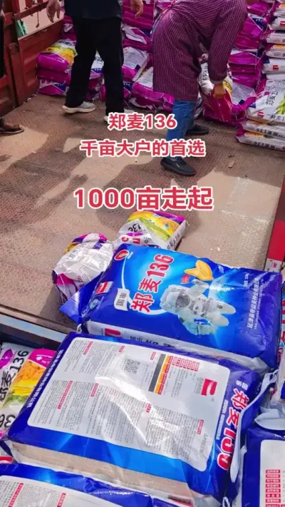 ֣136Ǽѡ߲ʡ࿹һСƷΪ8ƣ 1. ߲ȲƽĶɴ7002022ڽʵʵĶߴ950.102. 