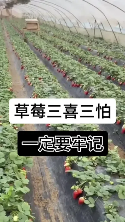 9888��˹ά��˹(�ɷ�)���޹�˾-�ٷ���վ