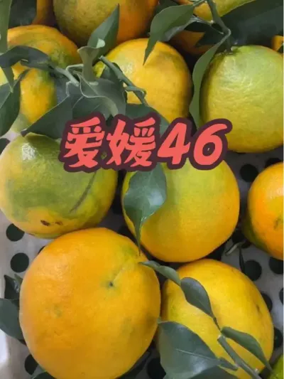 46ҰҸ#ũũ #ũ #ũ #ũ #