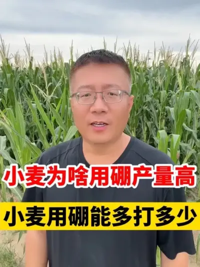 СΪɶߣ༸ࣿ #Сݪֲ # #С߲ #С #С׷