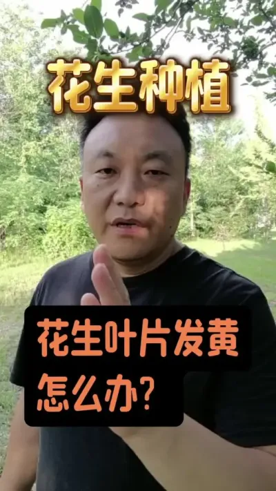 ����ҶƬ������ô����#����ݪֲ�������� #������ˮ #������������