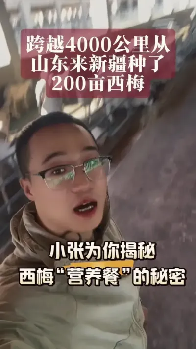 СΪ÷“Ӫ”ɶ#ũ #ũշͬ#÷ݪֲ #׷ô