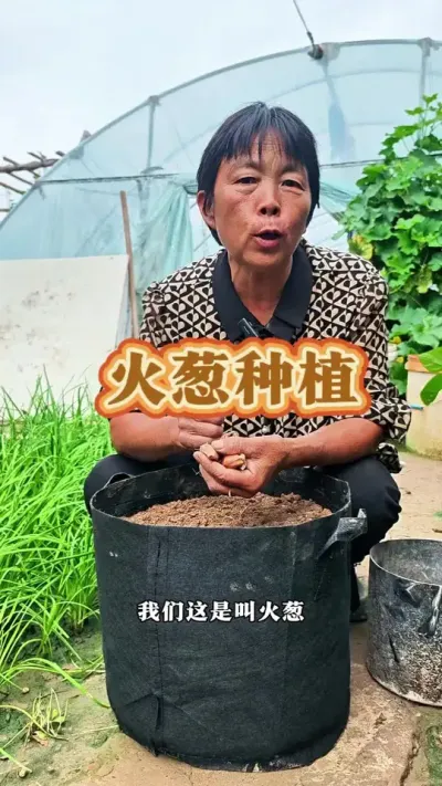 ݪֲС#ũ # #С #߲ #ݪֲС @DOU+С @DOU+ @С