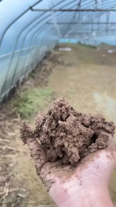 ǾѰ…… ǾԤе……# #Ǿ #Ǿݪֲ  # #