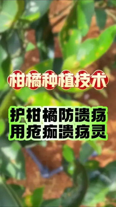 ¶תɫƵôƼ徲#ݪֲ #ٲ # #ٹ #ũҵݪֲ