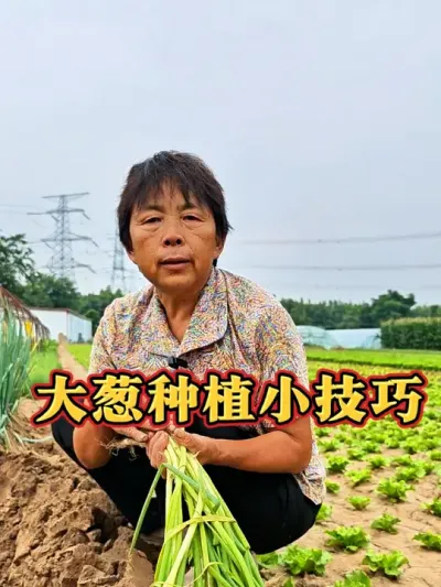 ��Ĵ��������#��� #���ݪֲ #��ũ #�߲����� #ݪֲС���� @DOU+������ @��������С���� @DOU+С����