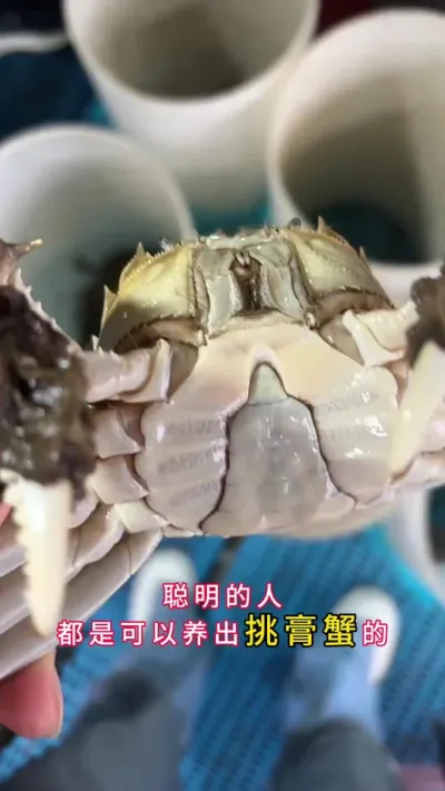 ǻ۵ֳֻƷззֻܱ#зֳ #Ϻзֳ #зֳ #բзֳ #ũ @DOU+С @DOU+