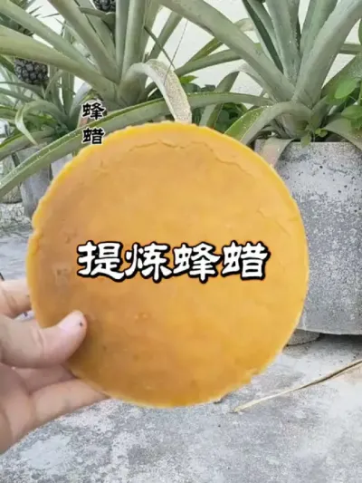  ۷䳲ɷ# #ҵ #ũ2025