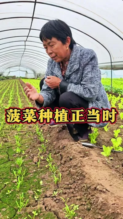 Ĳ#ũ # #߲ݪֲ #߲ #ݪֲС @С @DOU+ @DOU+С