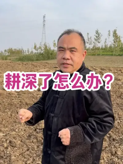 ô ֮ǰòÿĶ10ϣ