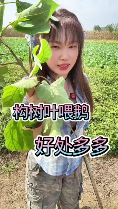 Ҷι##շ #ũ崴ҵֳ