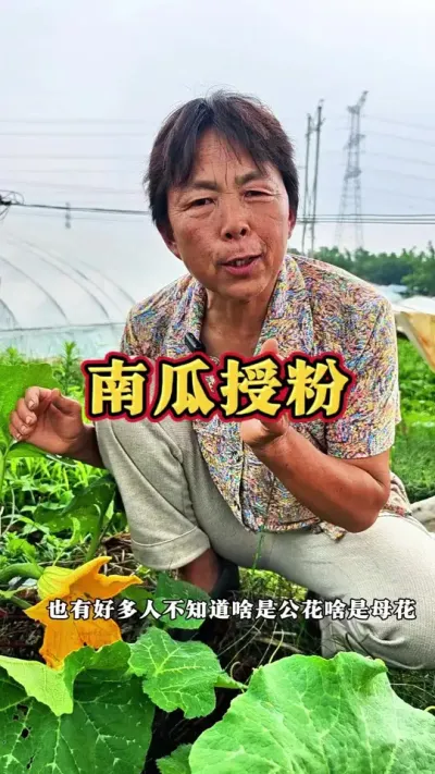 �Ϲ�����ס����������ǰ������Ҫ�����˹��ڷ۵�#�Ϲ� #��ũ #�߲����� #ݪֲС���� #�Ϲ�ݪֲ @DOU+������ @��������С���� @DOU+С����