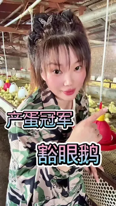 ھ۶ֽа۶Դɽ“”۽Ϸиһֻ160ö###շ #ũ崴ҵֳ