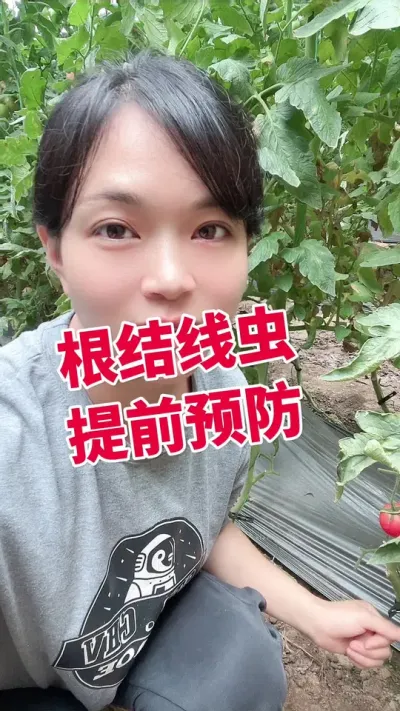 #߳ ǰԤ #ݪֲ##¶ #ݪֲ ע µ@С