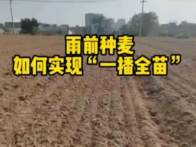 #Сݪֲ #ũҵ˻ũҵ#ũ