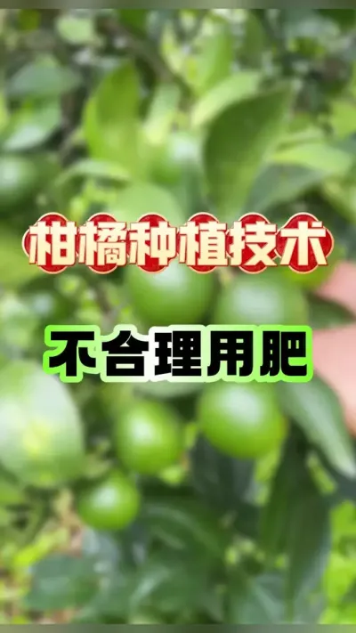 ݪֲ÷#ݪֲ #ٹ #ʩ #ũ #ũݪֲ