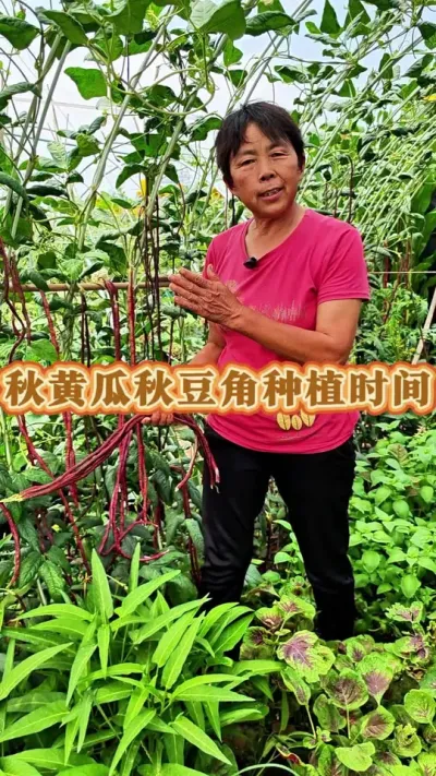 ��ƹϺ��ﶹ�ǵ�ݪֲʱ��#��ũ #�߲�ݪֲ #ݪֲʱ��� #�߲����� #ݪֲС���� @DOU+������ @��������С���� @DOU+С����