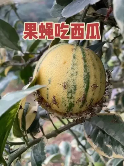 Ӭе#ũ #ũ #ũ #ũ #