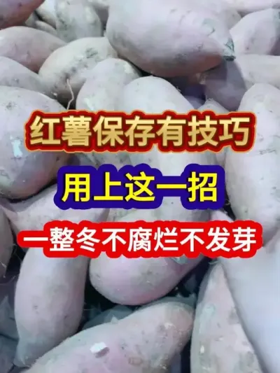 мһһ첻ܲѿ #ݪֲ #Ҫ #ũҵݪֲ #ݪֲС #ũҵ