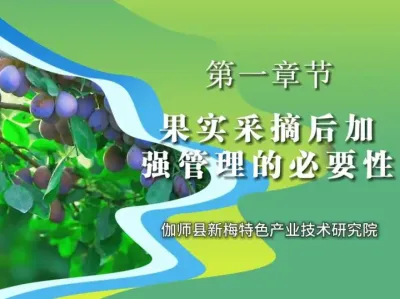 ٤ʦ÷:ʵժһҪǿҪԣ#٤ʦ÷#ũ #ũշͬ#÷ݪֲ#