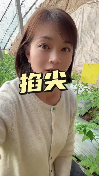 #ݪֲ###¼ҵݪֲ#ݪֲ עת@С