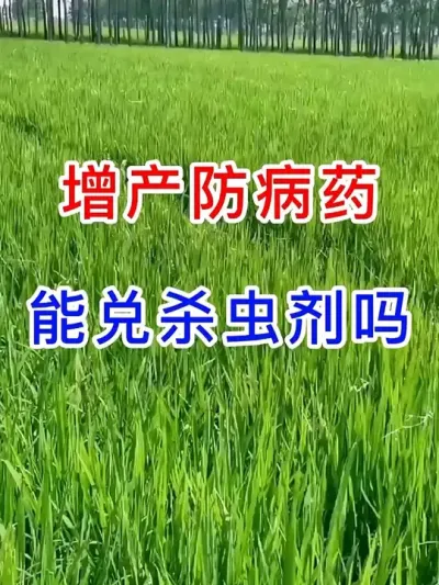 ҩܶɱ #ũ #ũ #ˮݪֲ #һݸһջ #ũ֧ũ