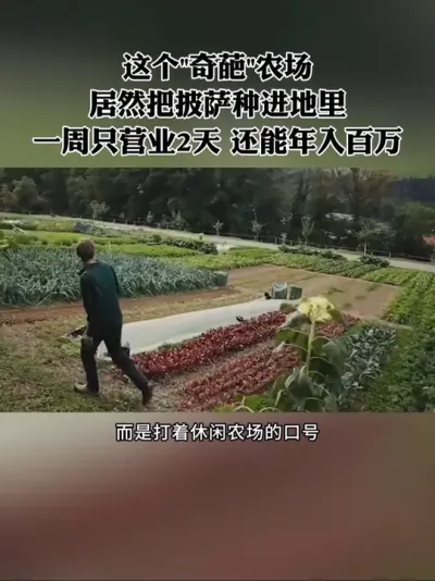 这个奇葩农场，把披萨种进地里，一周只营业两天，还能年入百万！怎么做到的？#农场 #新农人 #农庄 #休闲农业 #三农