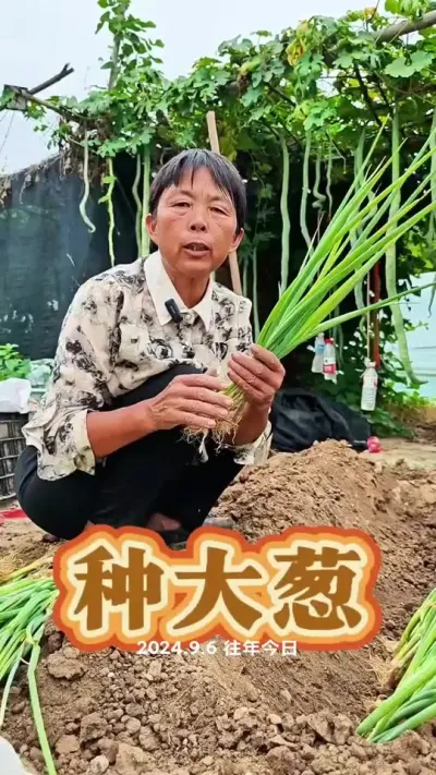 ݪֲС#ũ #߲ # # #ݪֲС @DOU+ @DOU+С @С