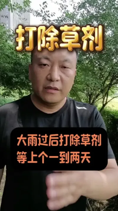 �����º����ݼ�����һ������#���ݼ� #����ݪֲ #����ݪֲ