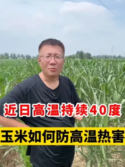 ¶ȸʱ䳤׸Ⱥ #ݪֲ #ݪֲ #׸߲ݪֲ #׸߲ #׹