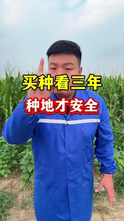 ֲ6СƷ˴ݪֲȷʵȲ߲ #ũҵݪֲ #Сݪֲ #ֲ6 #СƷ