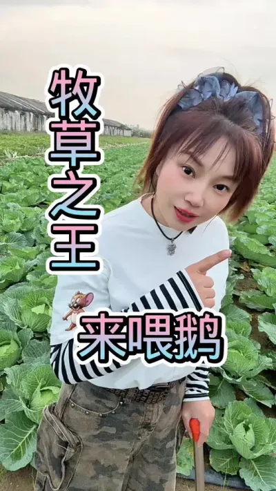 “֮”ι챾Ǯ##շ #ũ崴ҵֳ